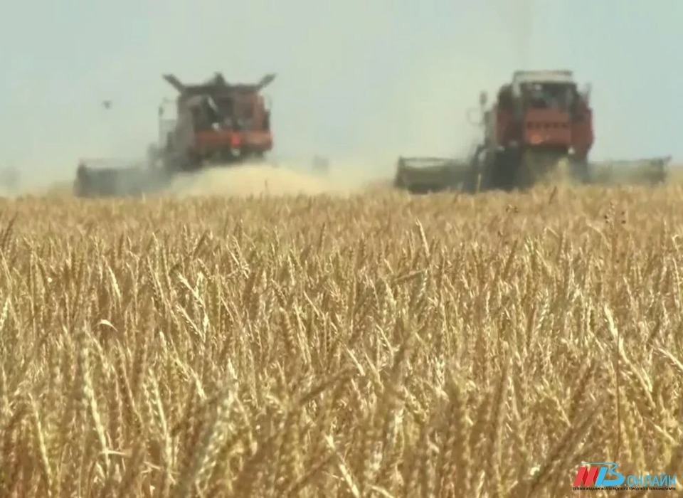 Миллиард рублей на проведение весенних полевых работ в Волгоградской области выделен в рамках господдержки